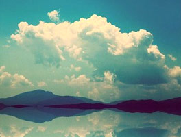 谁有资源分享的报复骗子轰炸神器