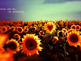 呼死你在线免费试用